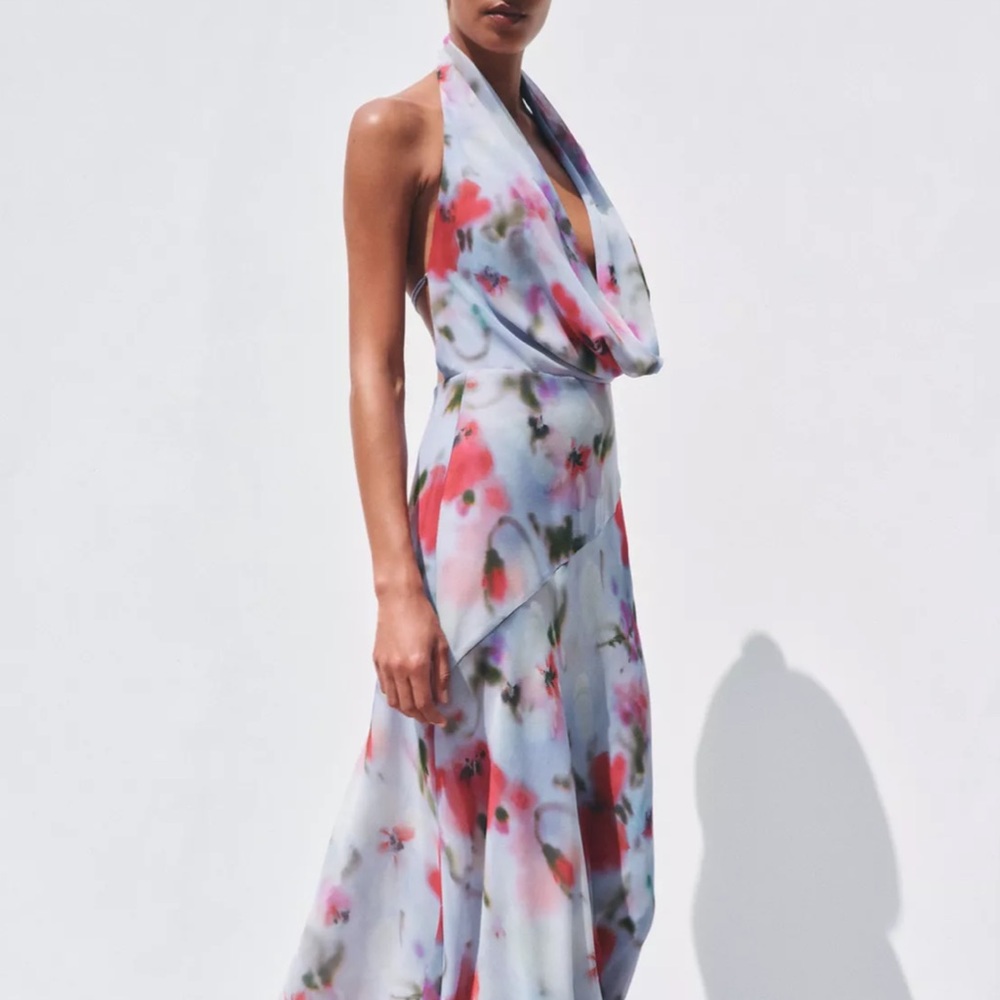 Zara Backless Midi Floral Halter Dress